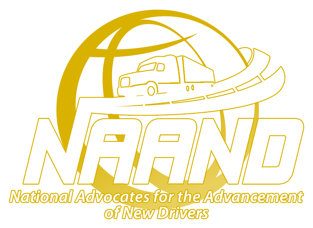 NAAND Logo